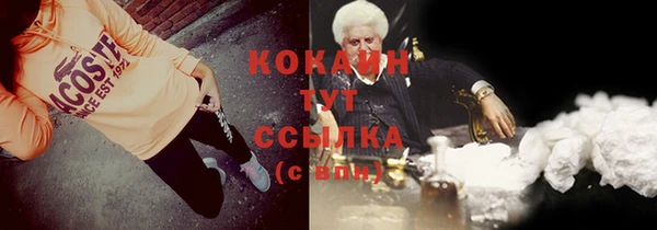 ПСИЛОЦИБИНОВЫЕ ГРИБЫ Абаза