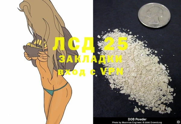 ПСИЛОЦИБИНОВЫЕ ГРИБЫ Абаза
