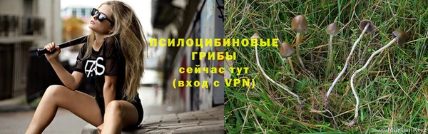 ПСИЛОЦИБИНОВЫЕ ГРИБЫ Абаза