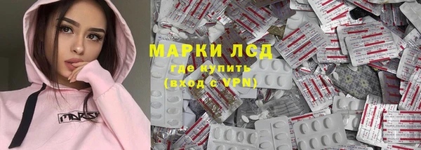 ПСИЛОЦИБИНОВЫЕ ГРИБЫ Абаза