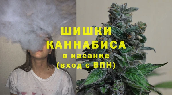 ПСИЛОЦИБИНОВЫЕ ГРИБЫ Абаза