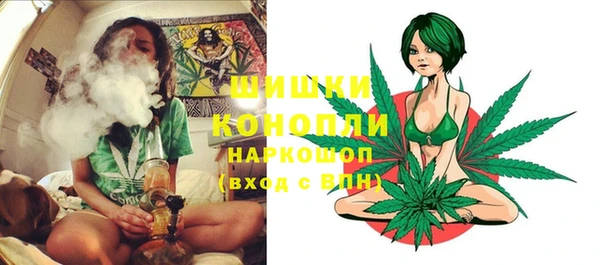 ПСИЛОЦИБИНОВЫЕ ГРИБЫ Абаза